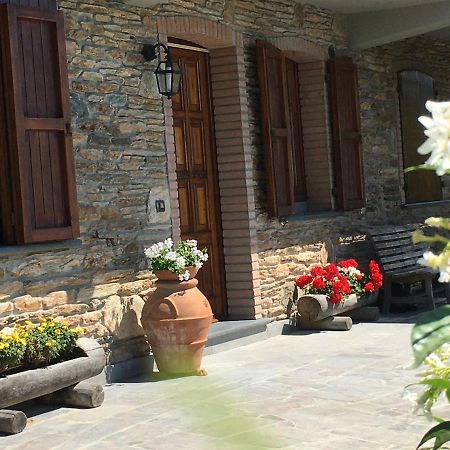 Gelsomini Villa Massa  Ngoại thất bức ảnh