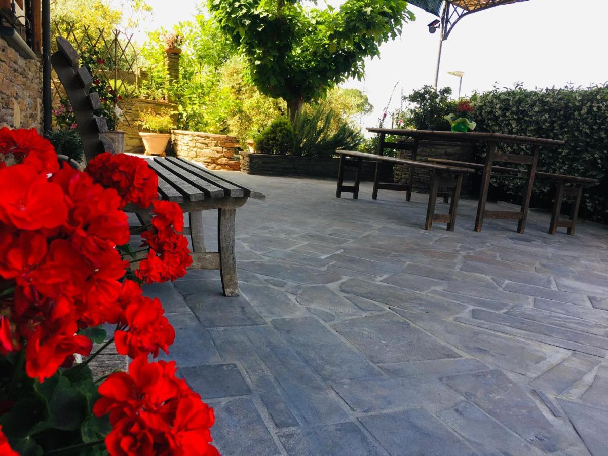 Gelsomini Villa Massa  Ngoại thất bức ảnh